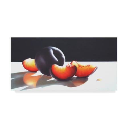 Cecile Baird 'Plum Perfect ' Canvas Art,12x24